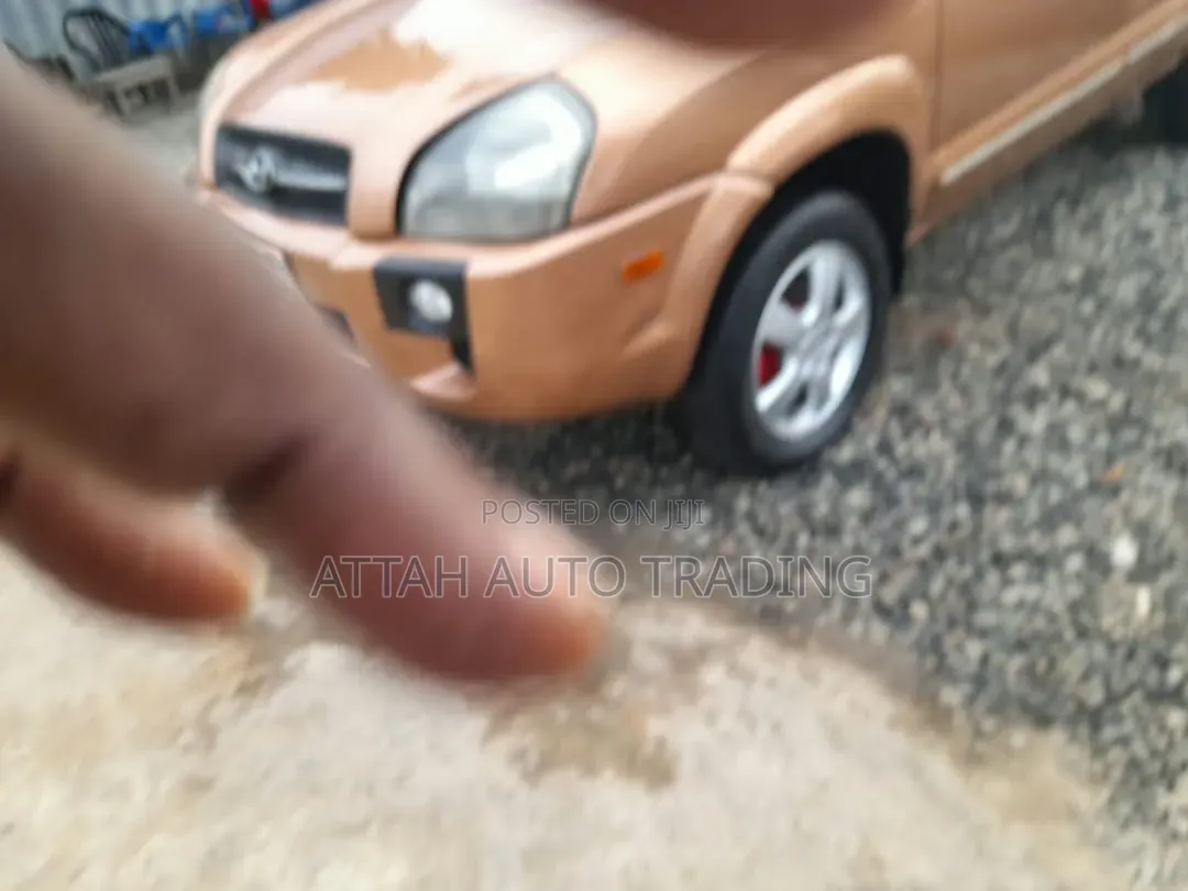 Hyundai Tucson 2005 Brown