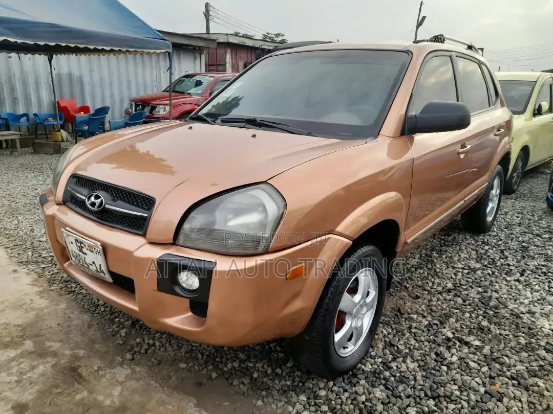 Hyundai Tucson 2005 Brown
