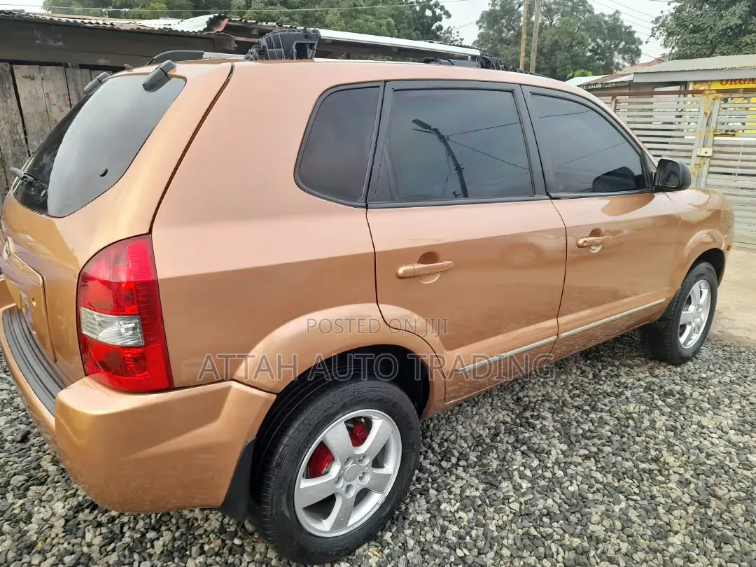 Hyundai Tucson 2005 Brown