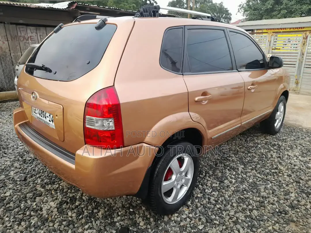 Hyundai Tucson 2005 Brown