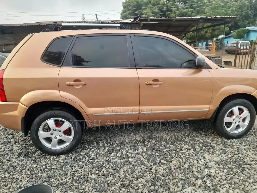 Hyundai Tucson 2005 Brown