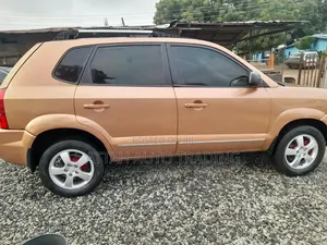 Hyundai Tucson 2005 Brown