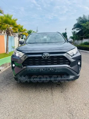 Toyota RAV4 2024 Brown