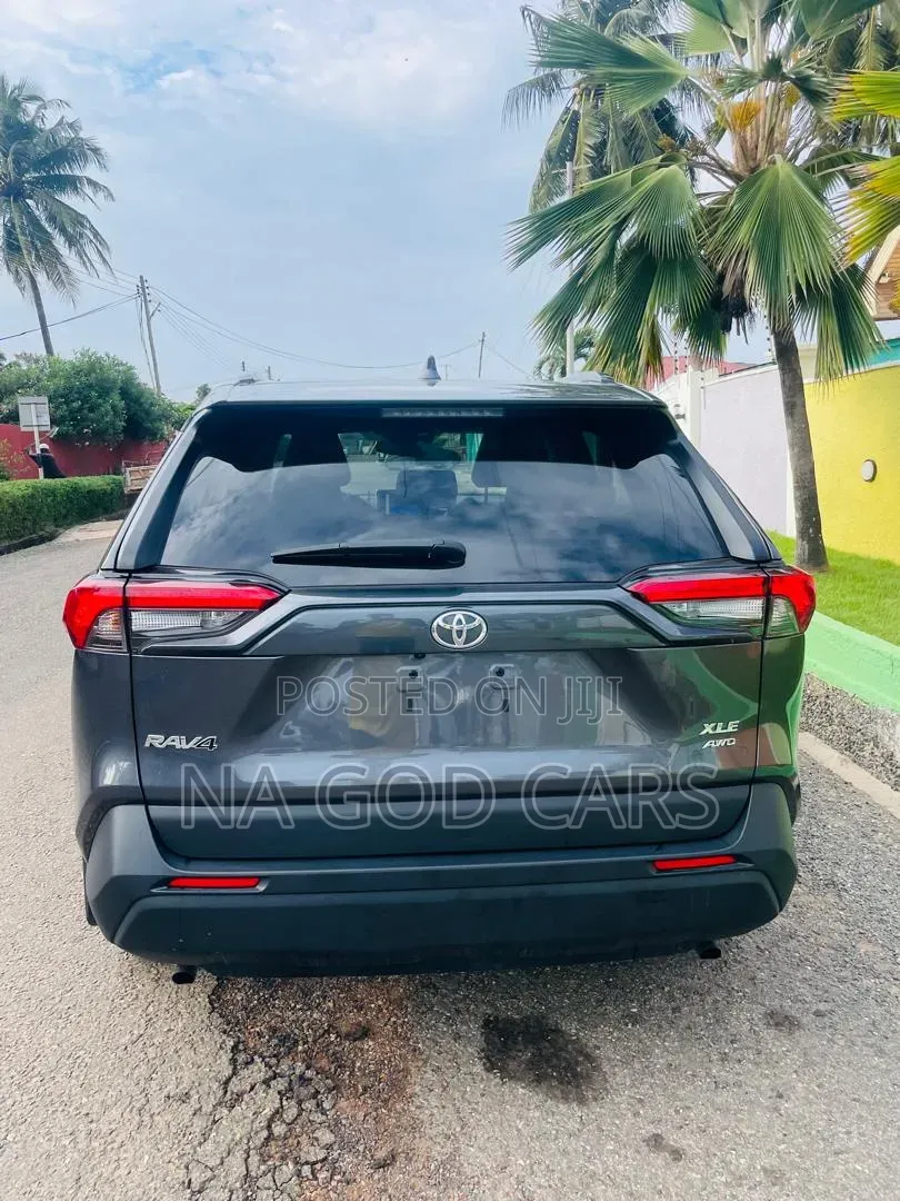 Toyota RAV4 2024 Brown