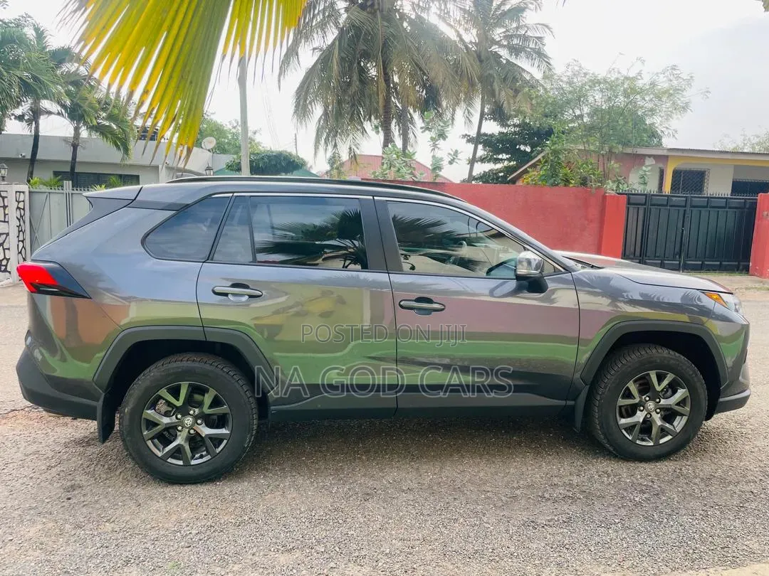 Toyota RAV4 2024 Brown