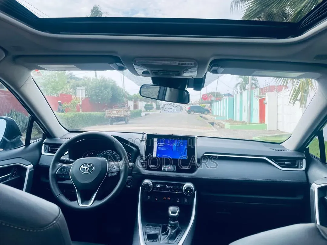 Toyota RAV4 2024 Brown