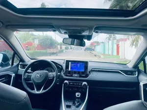 Toyota RAV4 2024 Brown