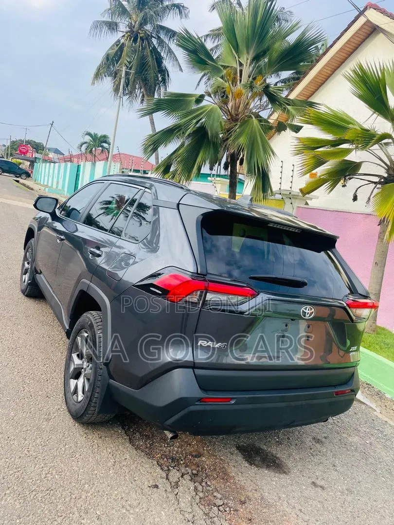 Toyota RAV4 2024 Brown