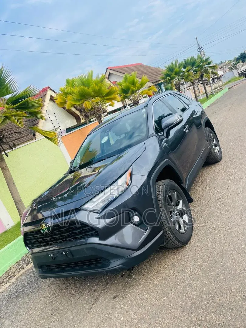 Toyota RAV4 2024 Brown