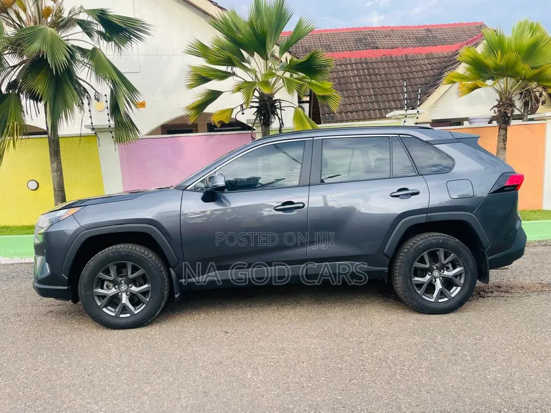 Toyota RAV4 2024 Brown