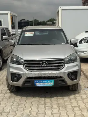Great Wall Wingle 2019 Gray