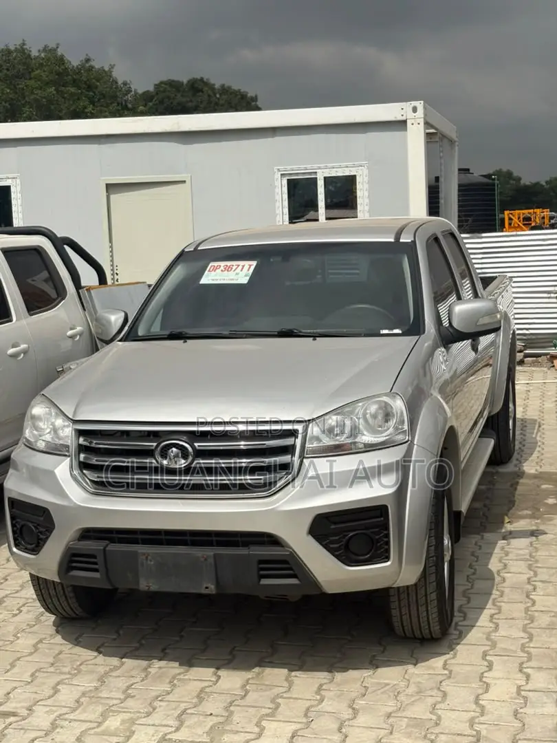 Great Wall Wingle 2019 Gray