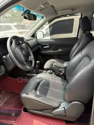 Great Wall Wingle 2019 Gray