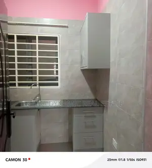 1bdrm Apartment in Bushroad, Ledzokuku-Krowor for rent