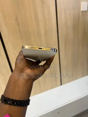 Apple iPhone 12 Pro Max 128 GB Silver