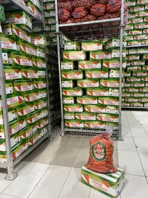 Fresh Vegetables (Carrots)