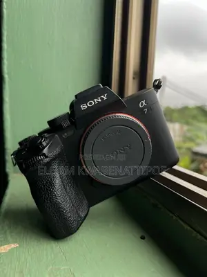 Sony A7 IV Neat