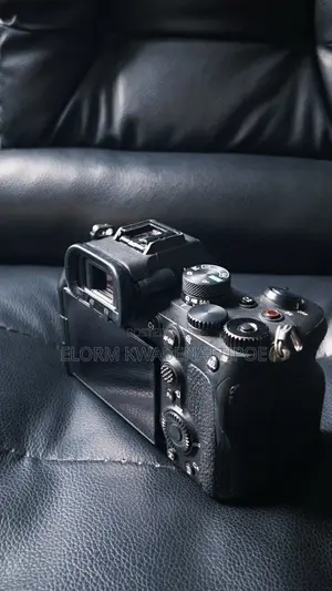 Sony A7 IV Neat