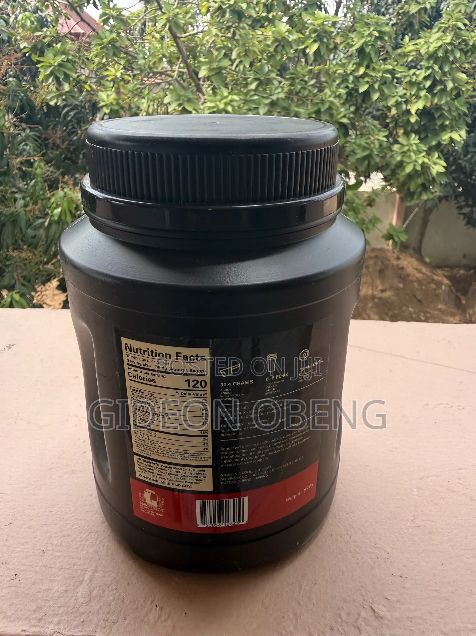 Whey Protein Powder