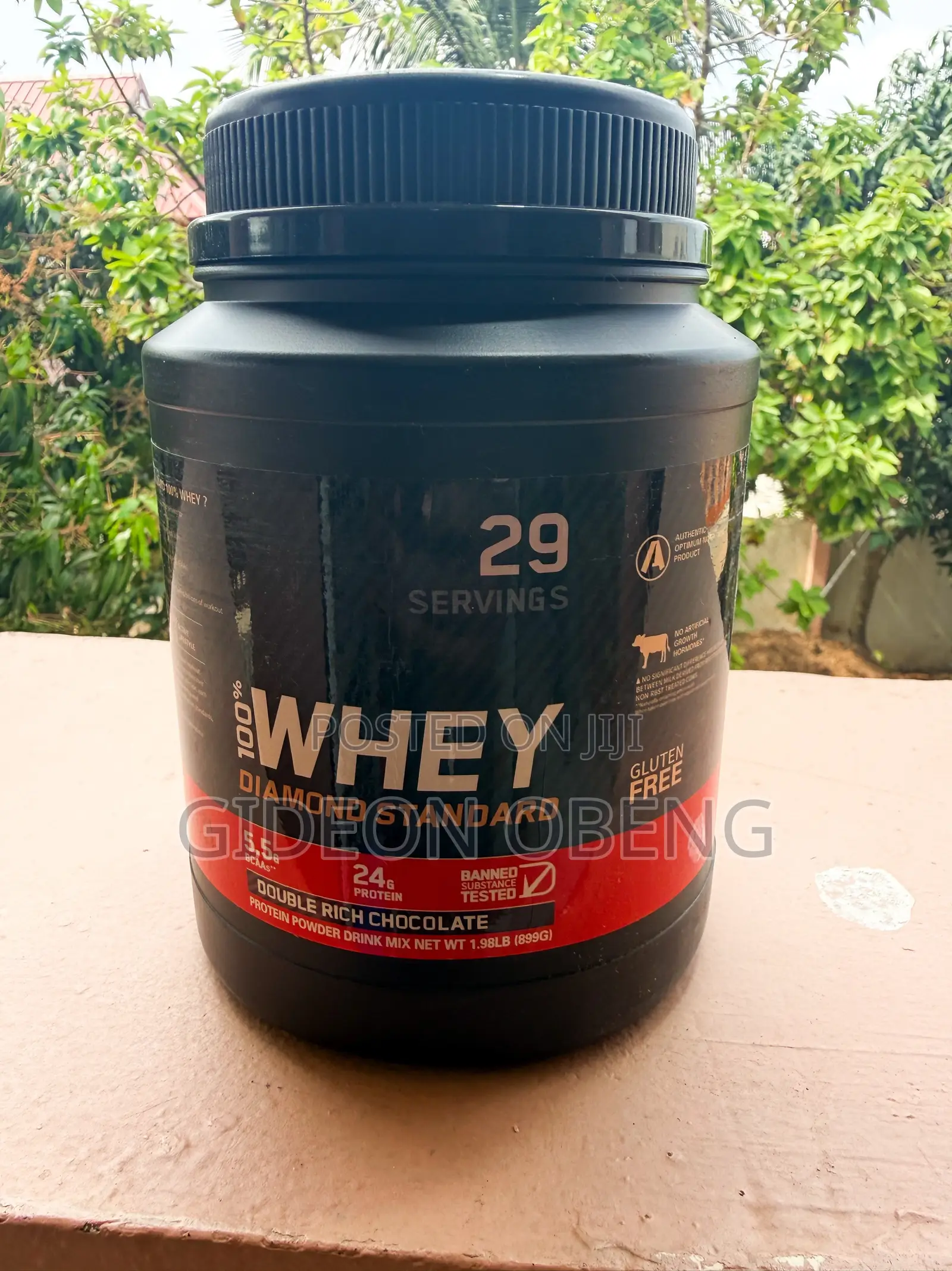 Whey Protein Powder