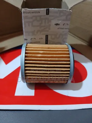 Nissan Transmission Cooler Filter 31726-1xf00