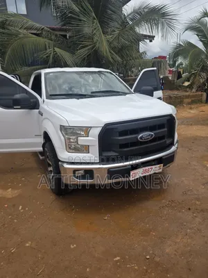 Ford F-150 2016 White