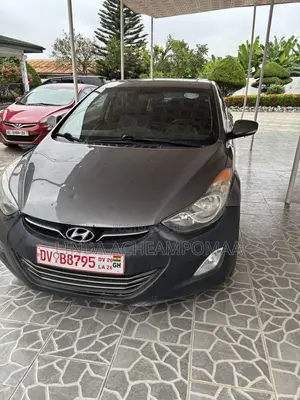 Hyundai Elantra 2013 Gray