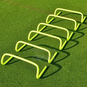 Agility Ladder