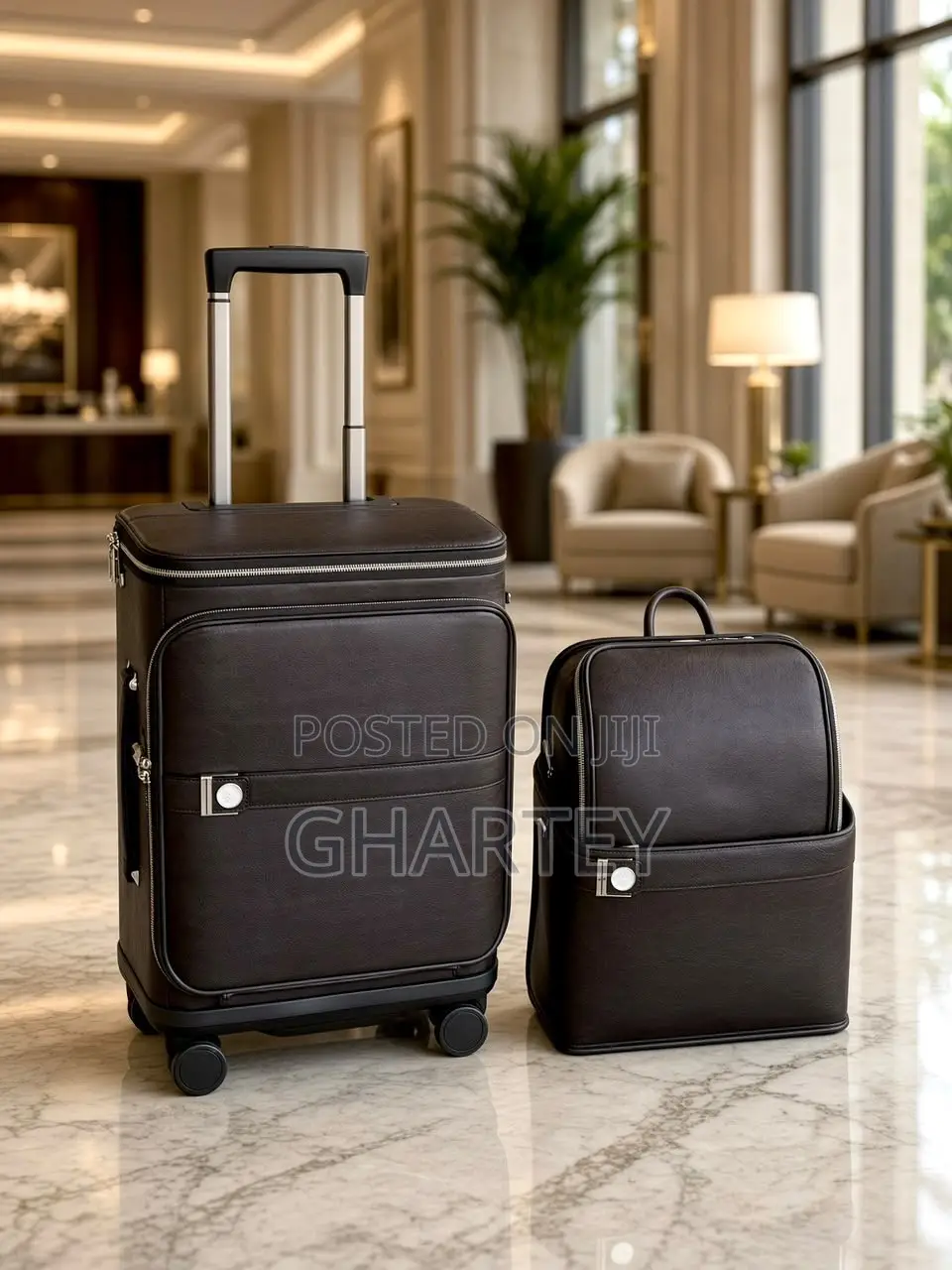 Luxury 2-Piece Travel Luggage Set –Premium Leather Carry-on Backpack