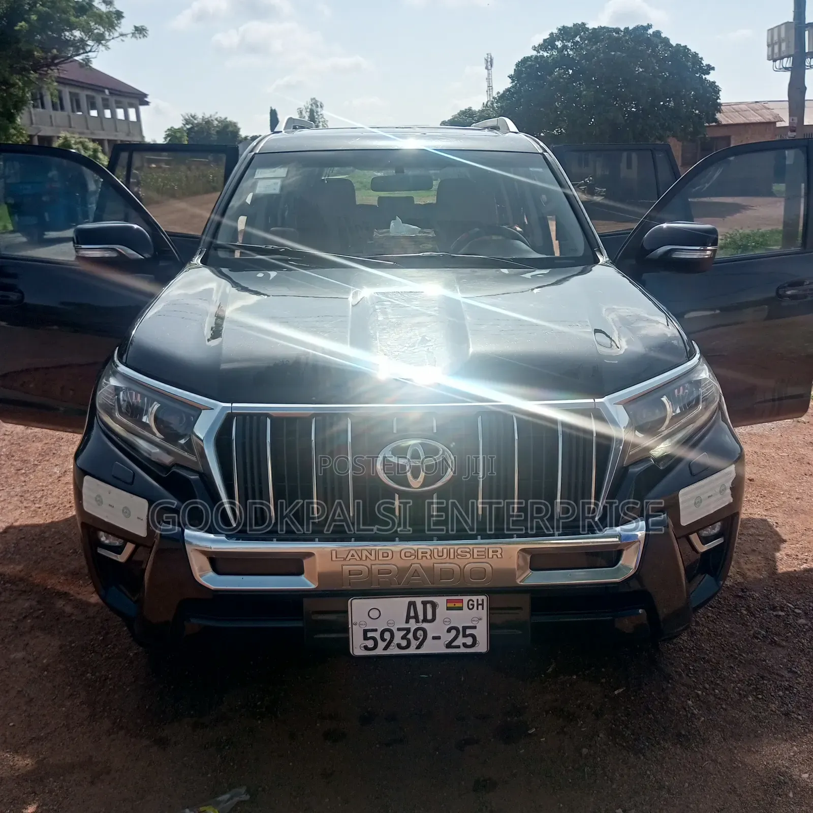 Car Rentals