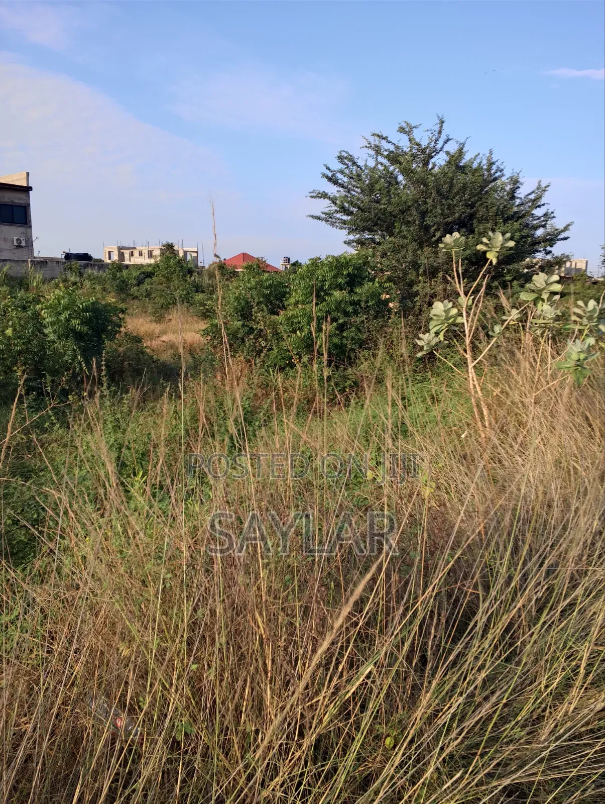 2 Plots at the Commercial Side in the Palm Ridge Comm24 for Sale