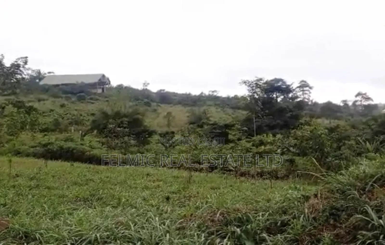 8 Plots of Land at Aburi Obosomase for Sale