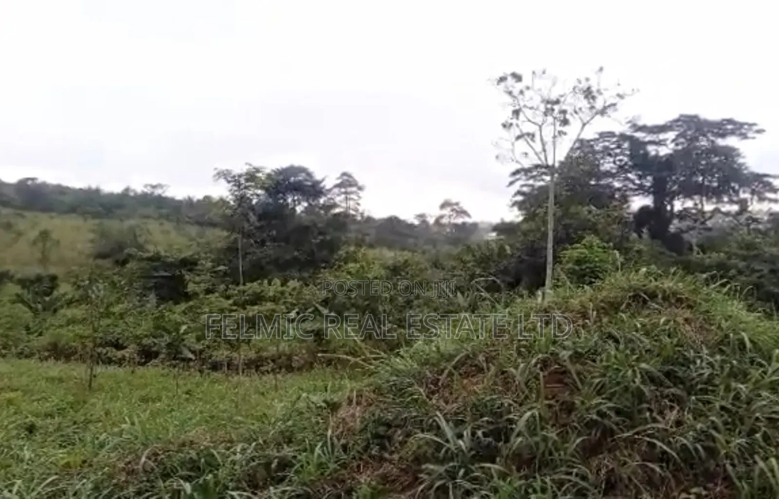 8 Plots of Land at Aburi Obosomase for Sale