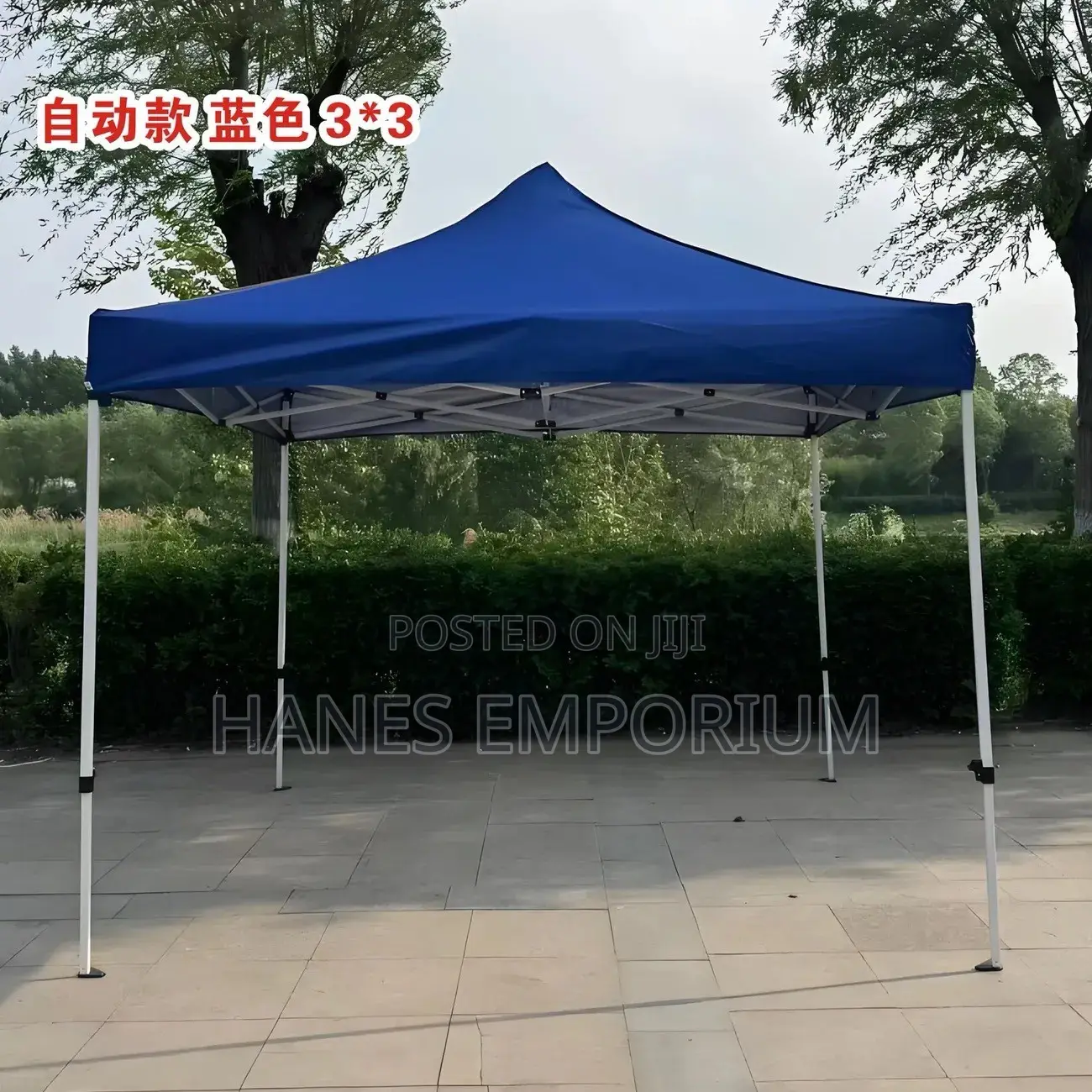 Foldable Canopy