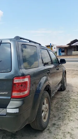 Ford Escape 2009 Gray