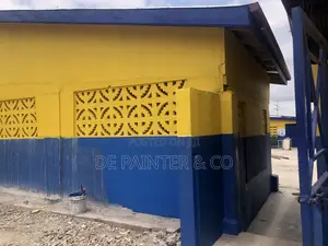 Anything Painting _ Professional Affordable