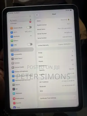 Apple iPad 10.2 (2020) Wi-Fi 256 GB Gray