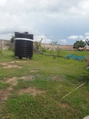 Appolonia Land