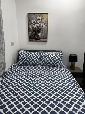 Furnished 1bdrm Apartment in Tseaddo for rent