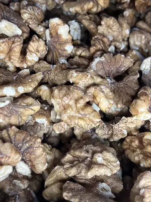 Walnut Nuts