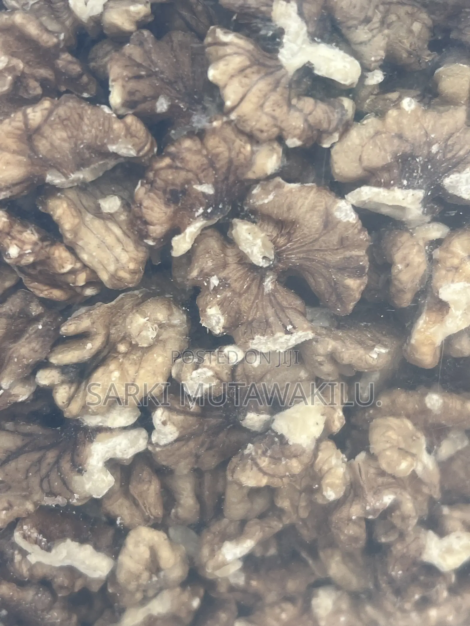 Walnut Nuts