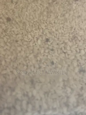 Sesame Seeds