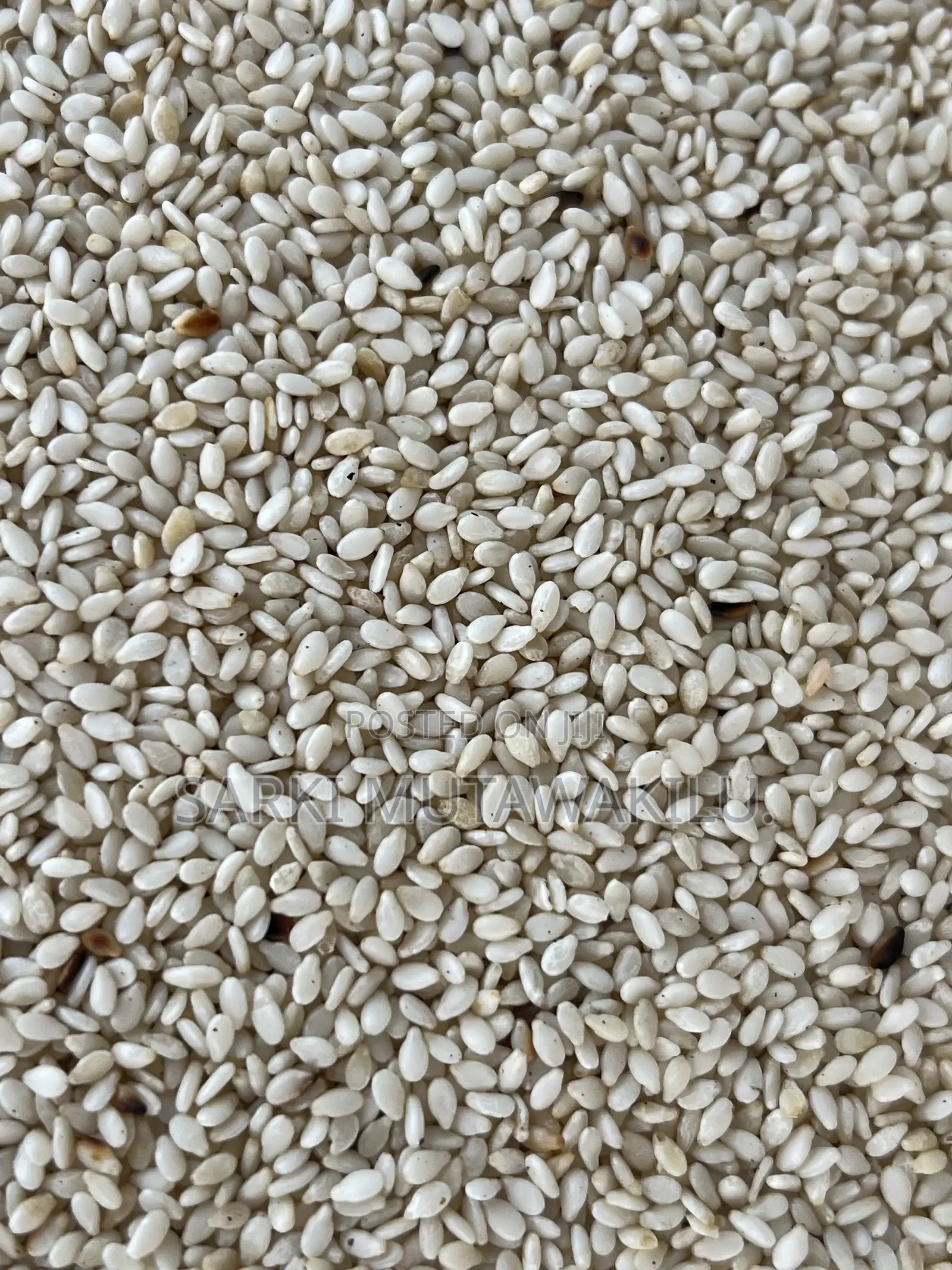 Sesame Seeds