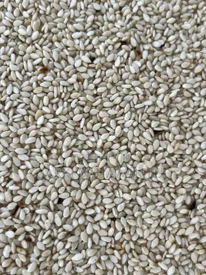 Sesame Seeds