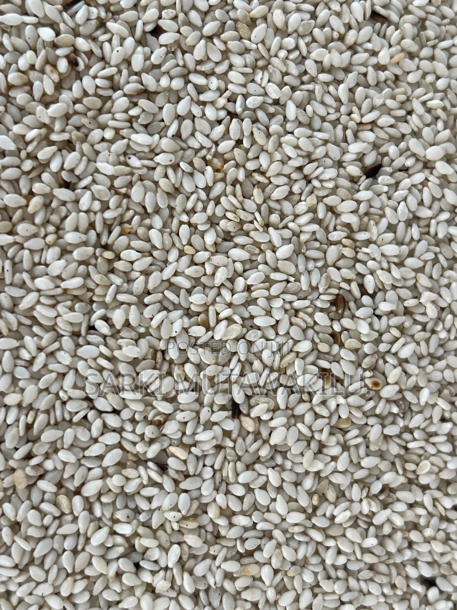 Sesame Seeds