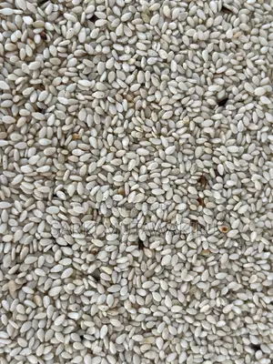 Sesame Seeds