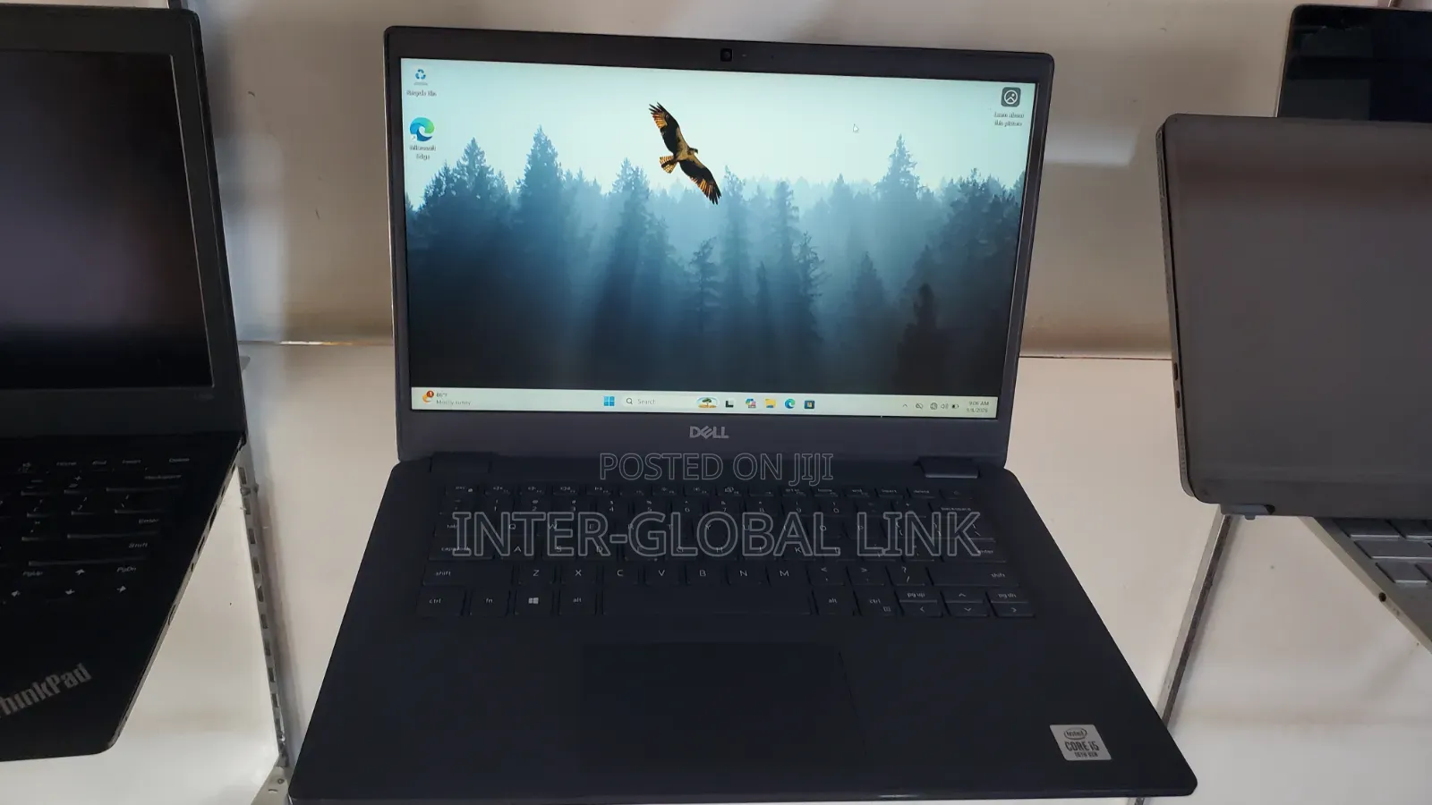 Laptop Dell Latitude 3410 8GB Intel Core i5 SSD 256GB