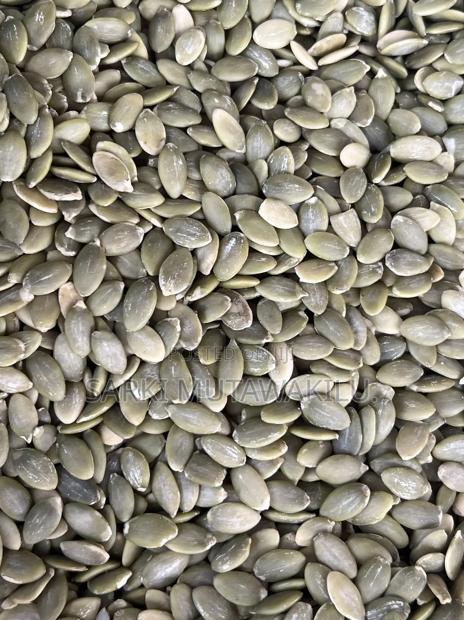 Pumpkin Seed
