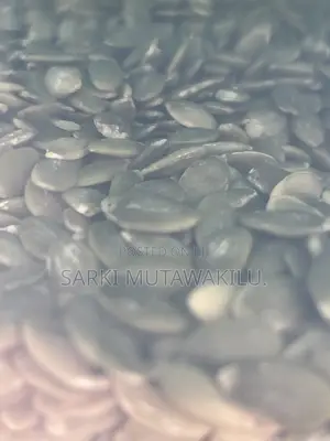 Pumpkin Seed