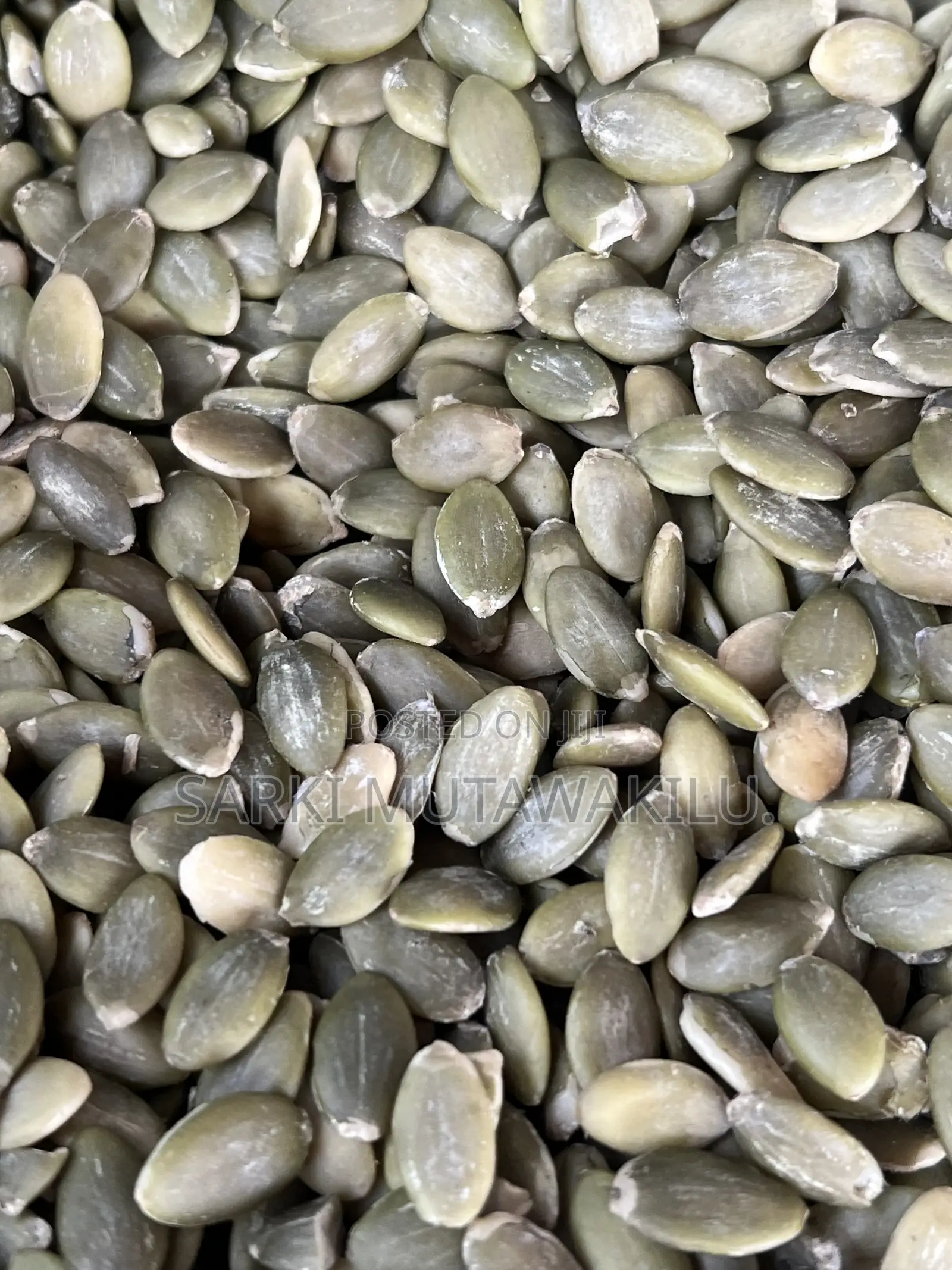 Pumpkin Seed